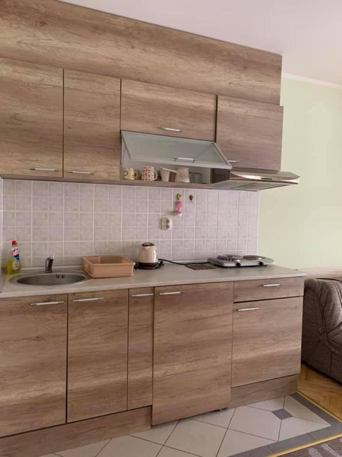 Apartmani Micic Vrnjačka Banja Eksteriør billede